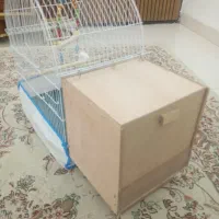 قفس همراه لانه