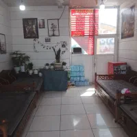 پیک موتوری و نیرو ساده