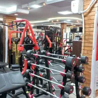 مشارکت در باشگاه