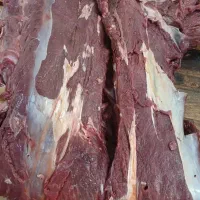 گوشت عمده‌ گاوی گوساله درتهران و البرز