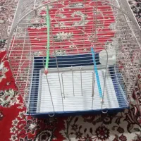 قفس|لوازم جانبی حیوانات|رشت, آب و برق|دیوار