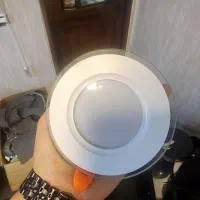 هالوژن و برنج