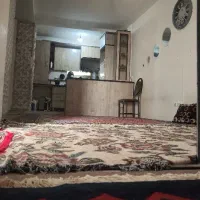 همخونه موجه میخام اقا هستم