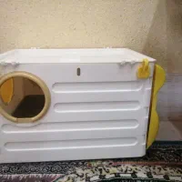 لانه عروس هلندی