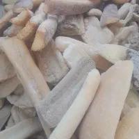 نان خشک ساندویچی بدون کپک