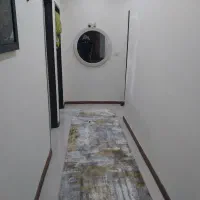 نقاشی  ساختمان  رنگ نانو