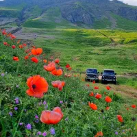 تور سوباتان یکروزه جمعه ۲۲ خرداد