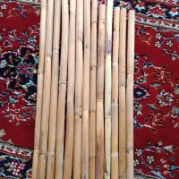 نی خام فروشی