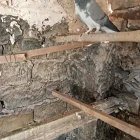 دو تا ماده پلاس مهر مست مست