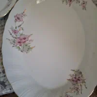 ۳ عدد دیس چینی سایز ۱۴ نو