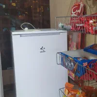 فریزر سینجر در حد