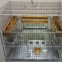 قفس غلامی جادونی برنجی و گالوانیزه