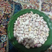 لوبیا چیتی دانه شده کیلویی 300