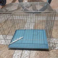 قفس پرنده