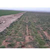 زمین-کشاورزی-1000متری-بحر