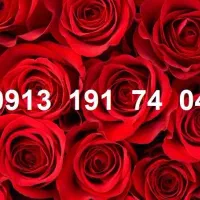 0913.19.18.405|سیمکارت|رفسنجان, |دیوار