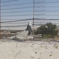 سه تاصید گردن کلفت