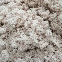 کاموا برای بالیش