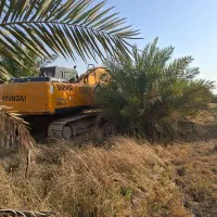 اجاره بیل مکانیکی