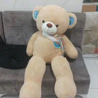 خرس|اسباب‌‌بازی|نقده, |دیوار