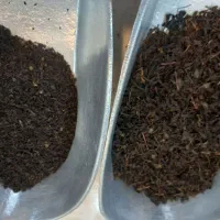 چای بهاره گیلان