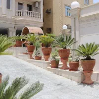 فروش-زمین-فوری-الهیه-جنوبی
