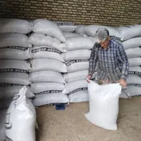 نون خشک دامی گاو گوسفند