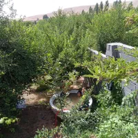 فروش باغچه