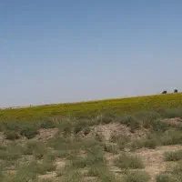 فروش زمین ۱۰۰ هکتاری