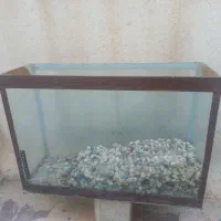 آکواریوم