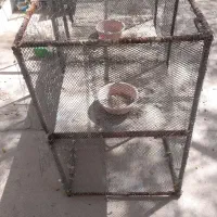 قفس یا جفتکن کبوتر