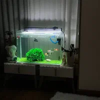 اکواریوم با وسایل کامل