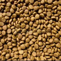 غذا خشک گربه سگ کیفیت خوب قیمت قدیم