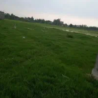 فروش-زمین-85متری-درفک-قلی-پور