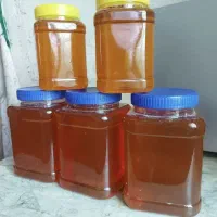 عسل|خوردنی و آشامیدنی|یاسوج, |دیوار