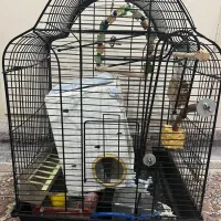 قفسه پرنده بزرگ