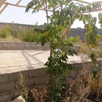 باغ300متری