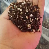 خاک ترکیبی رشد انفجاری گل