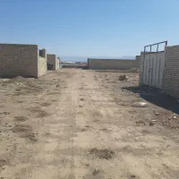 زمین