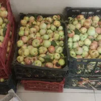 سیب پا درختی سالم
