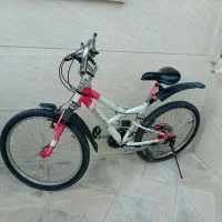 دوچرخه 24 تایوانی اصل