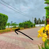 مجموعه-مدرنیته-با-سوددهی-بالا-سند-تک-برگ-با-جواز