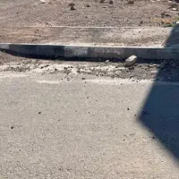 زمین در حمیدیه