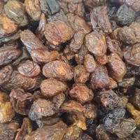 کشمش کاشمر