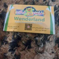 کار بازی شهربازی‌۵۰ عدد بازی رایگان