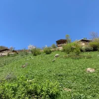 زمین-ویو-کوه-جنگل