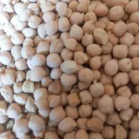 عدس ریز محلی خوش پخت وعالی ،نخود ریز، لوبیا چیتی