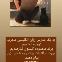 مدرس زبان انگلیسی