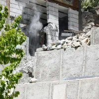 هرس درختان کاشت نهال