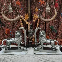 شیر علامت